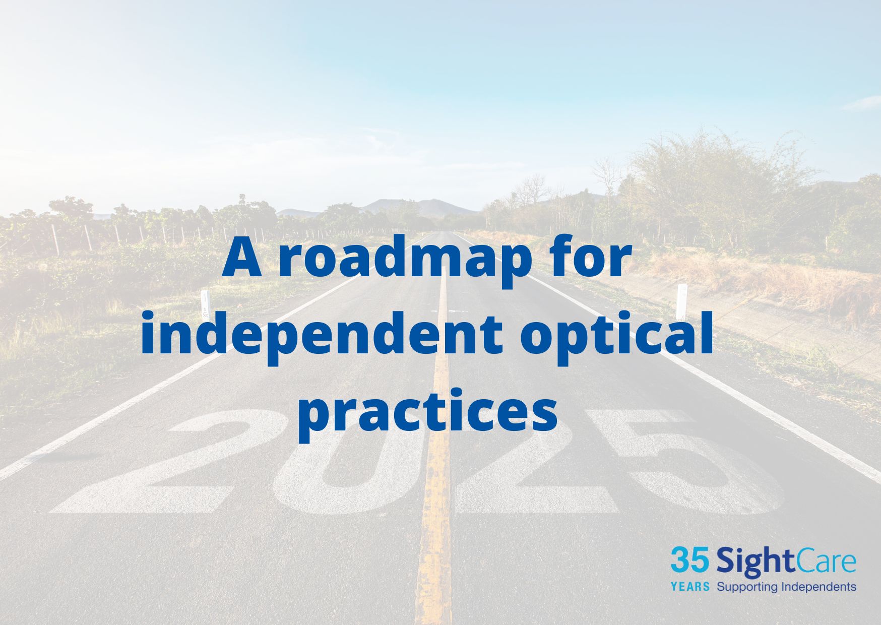 A roadmap for independent optical practices